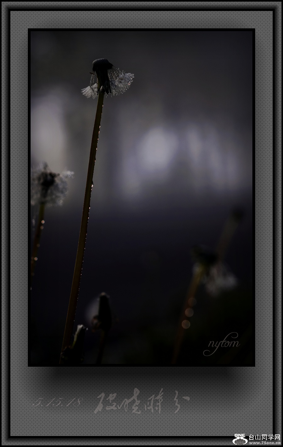 DSC04201_.jpg