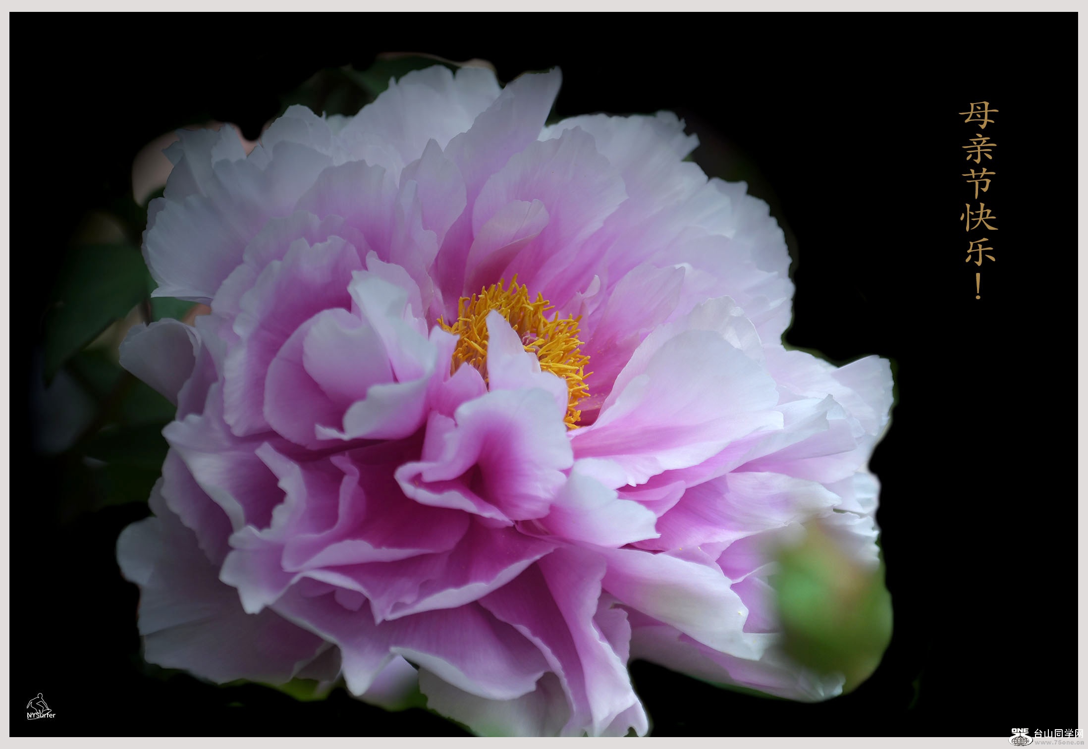 DSC_51061.jpg