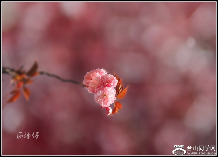 DSCN3985__.jpg