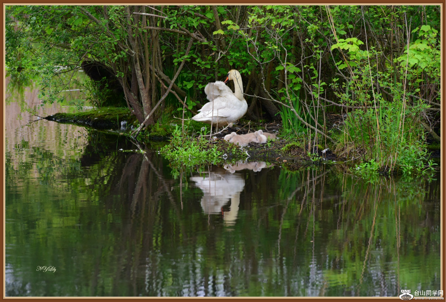 DSC_6459.JPG