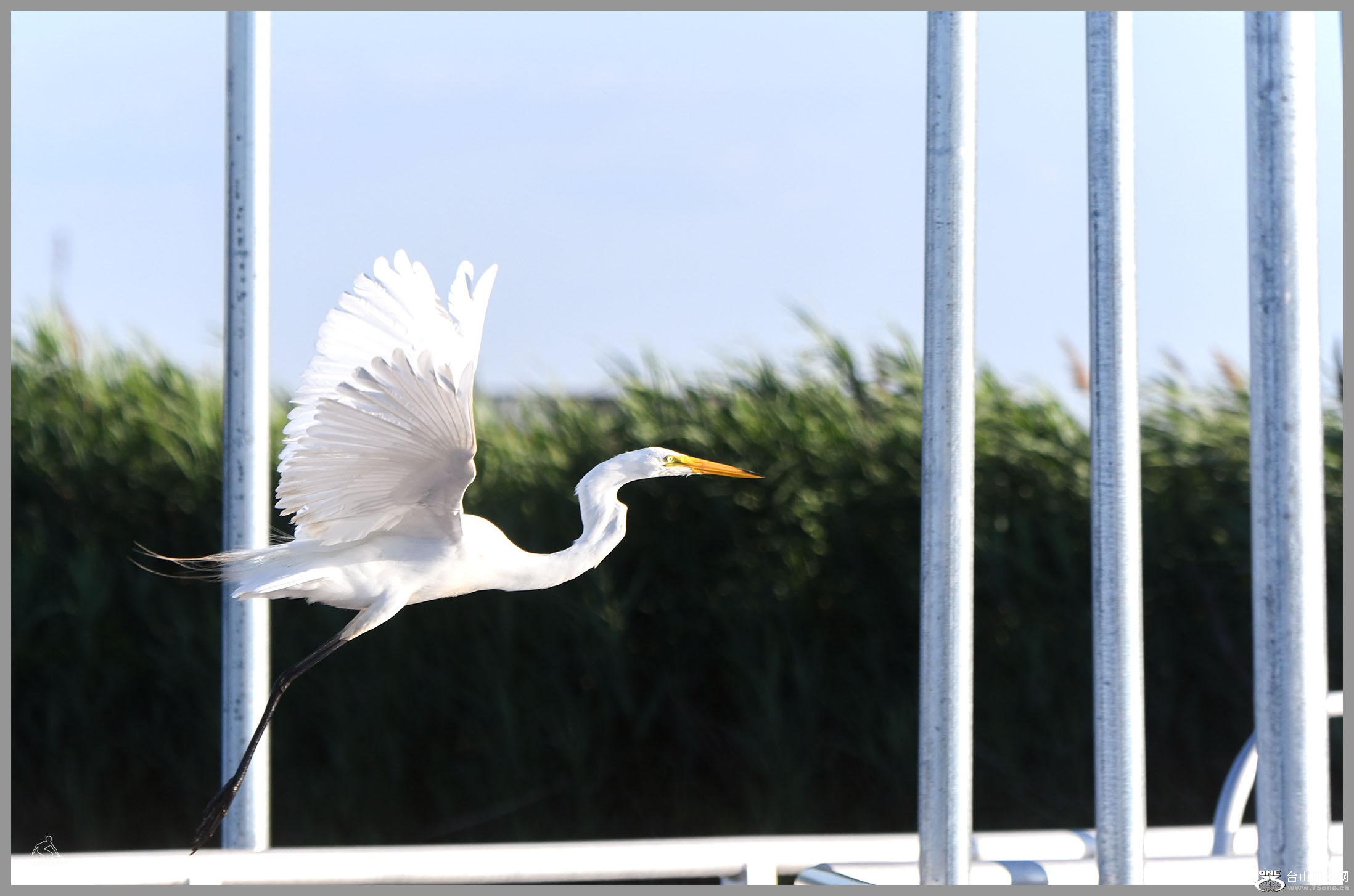 DSC_21148.jpg
