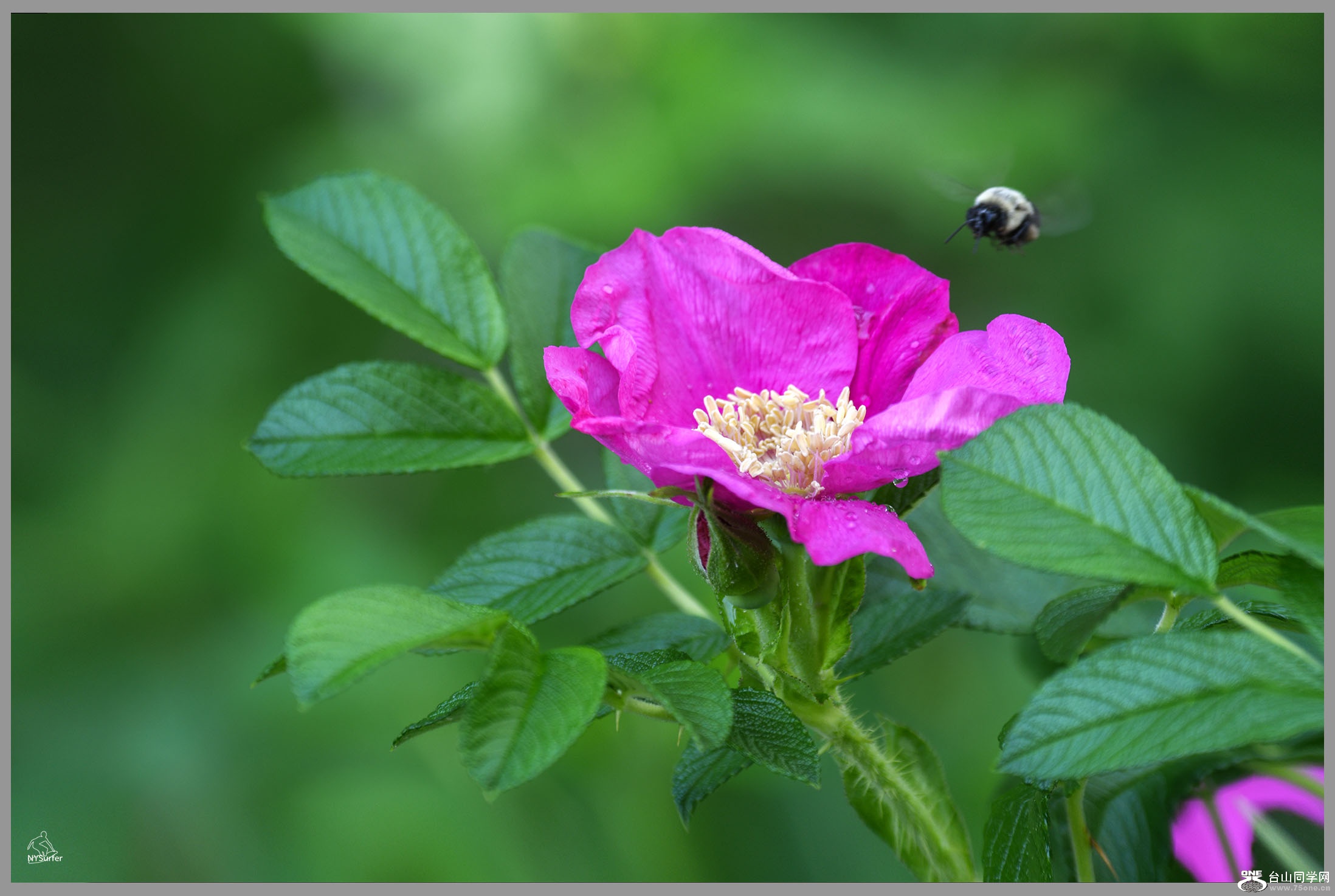 DSC_71578.jpg