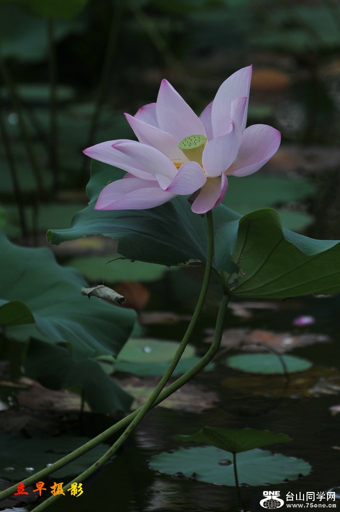 DSC_3705.JPG