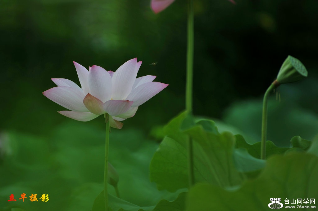 DSC_3686.JPG
