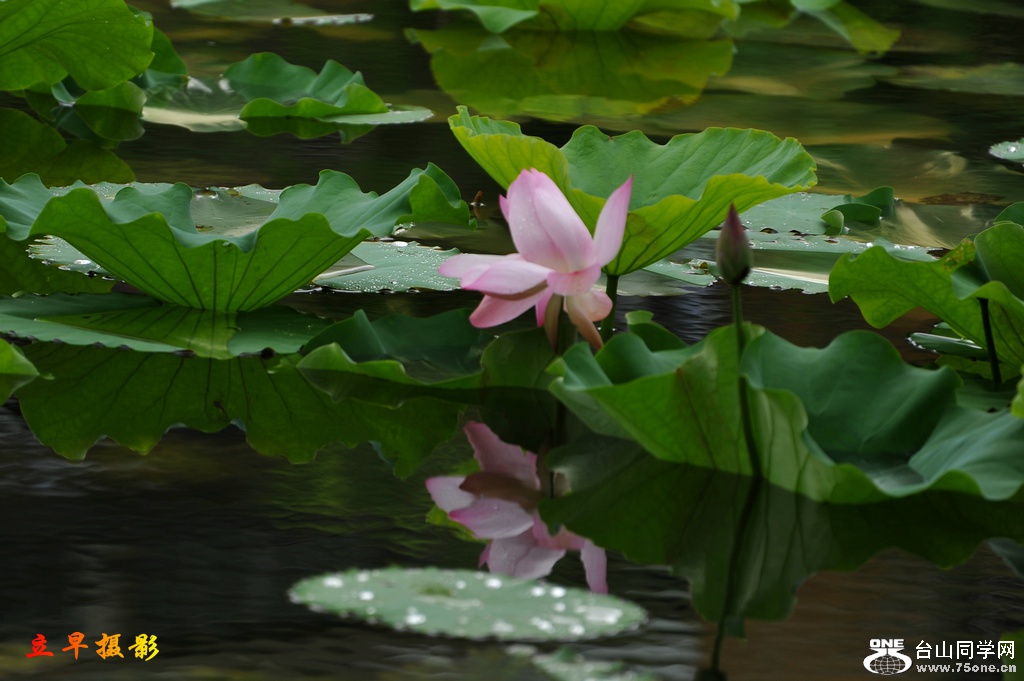 DSC_3923.jpg