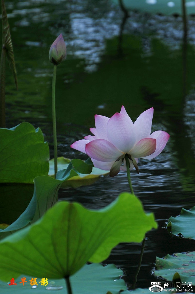 DSC_3677.JPG