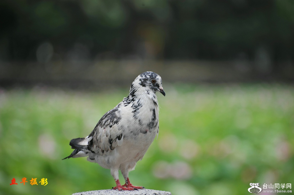 DSC_3865.jpg
