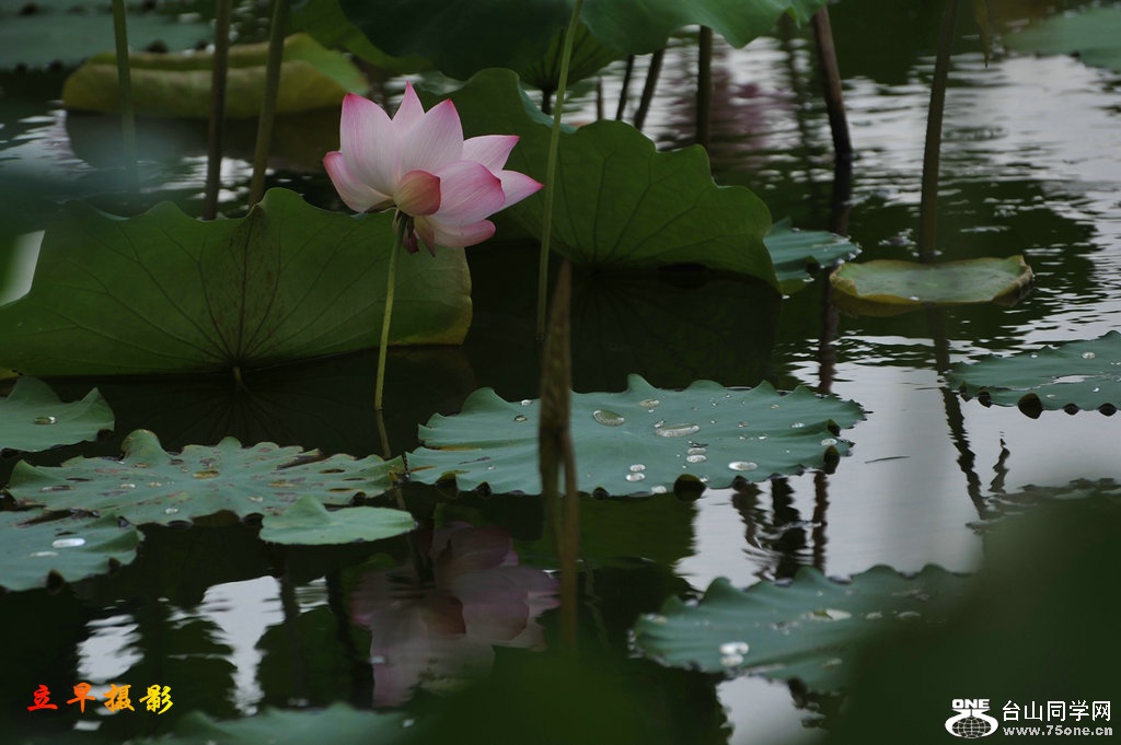 DSC_3692.JPG