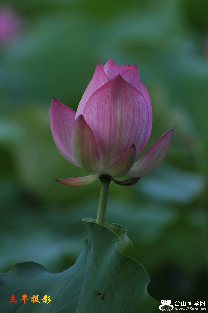 DSC_3684.JPG