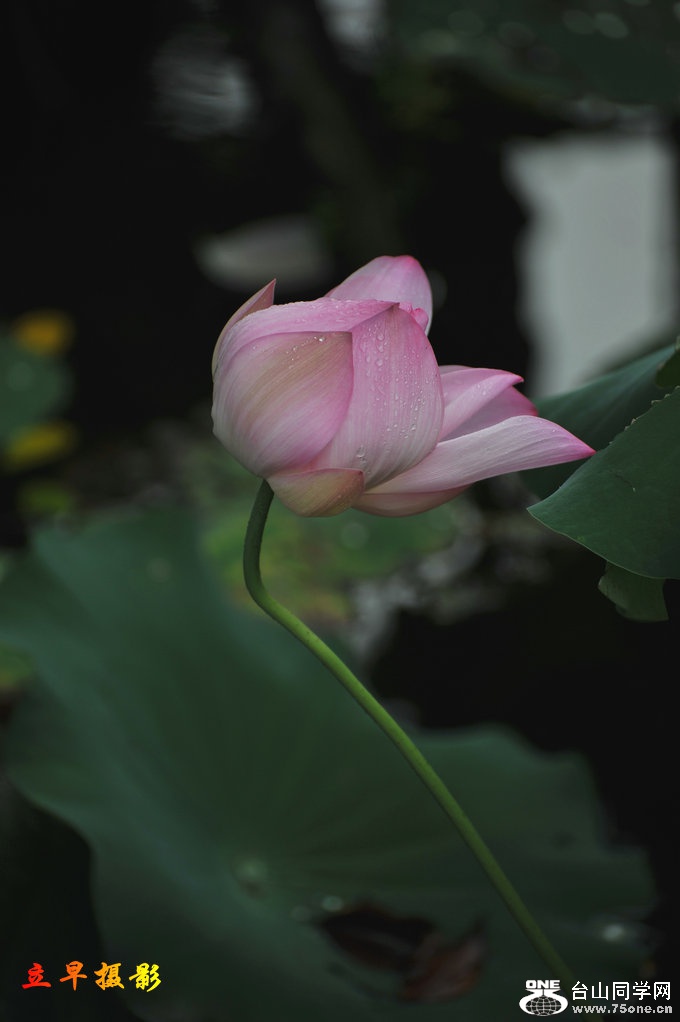 DSC_3760.JPG