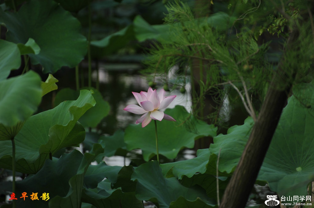 DSC_3727.JPG