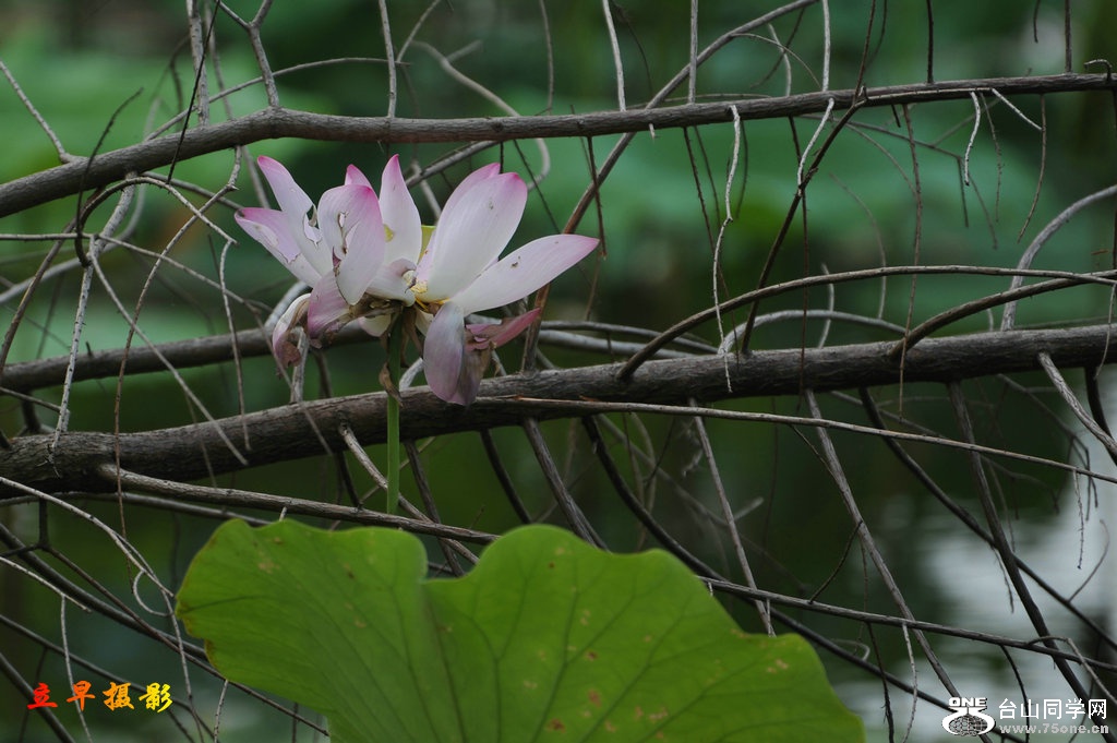 DSC_3726.JPG