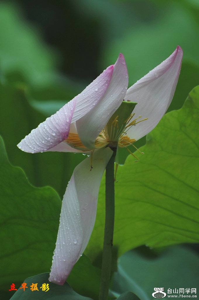 DSC_3759.JPG