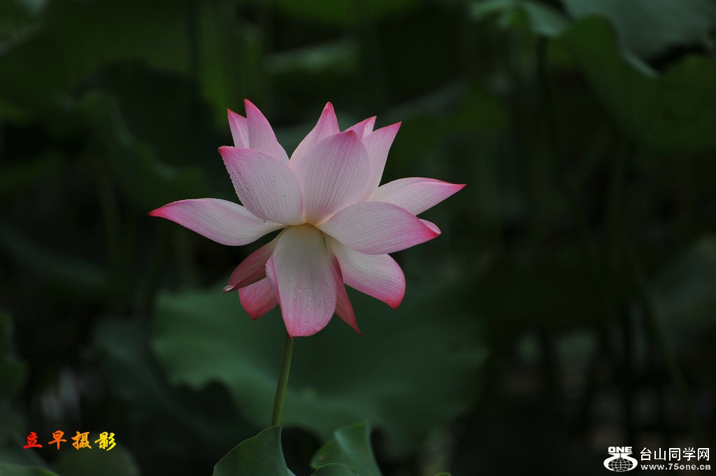 DSC_3768.JPG