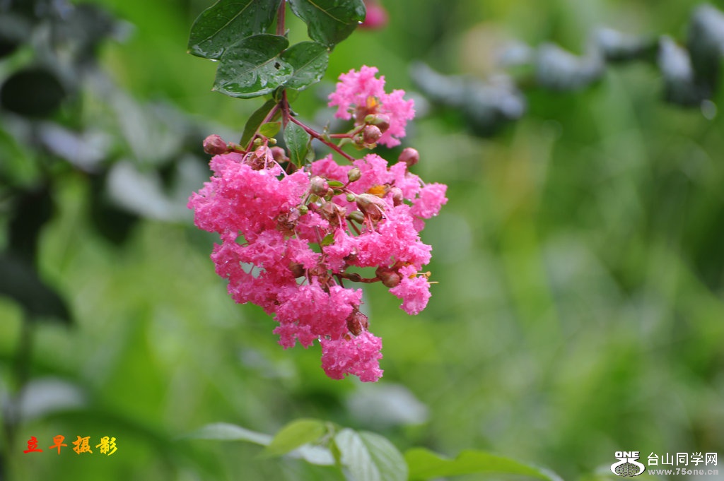 DSC_3770.JPG