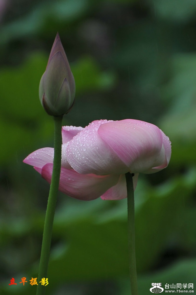 DSC_3795.JPG
