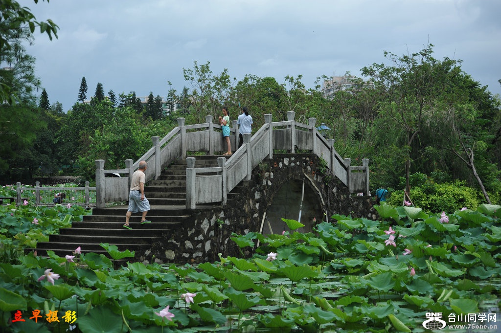 DSC_3899.jpg