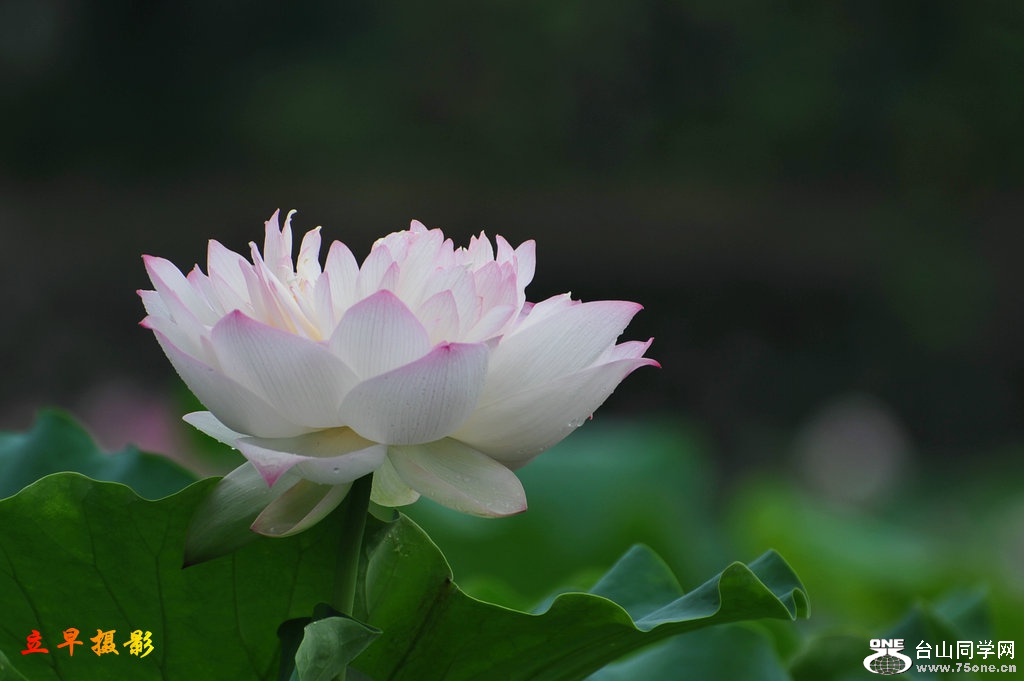 DSC_3777.JPG
