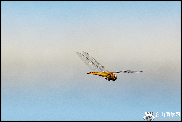 DSC_8751.JPG