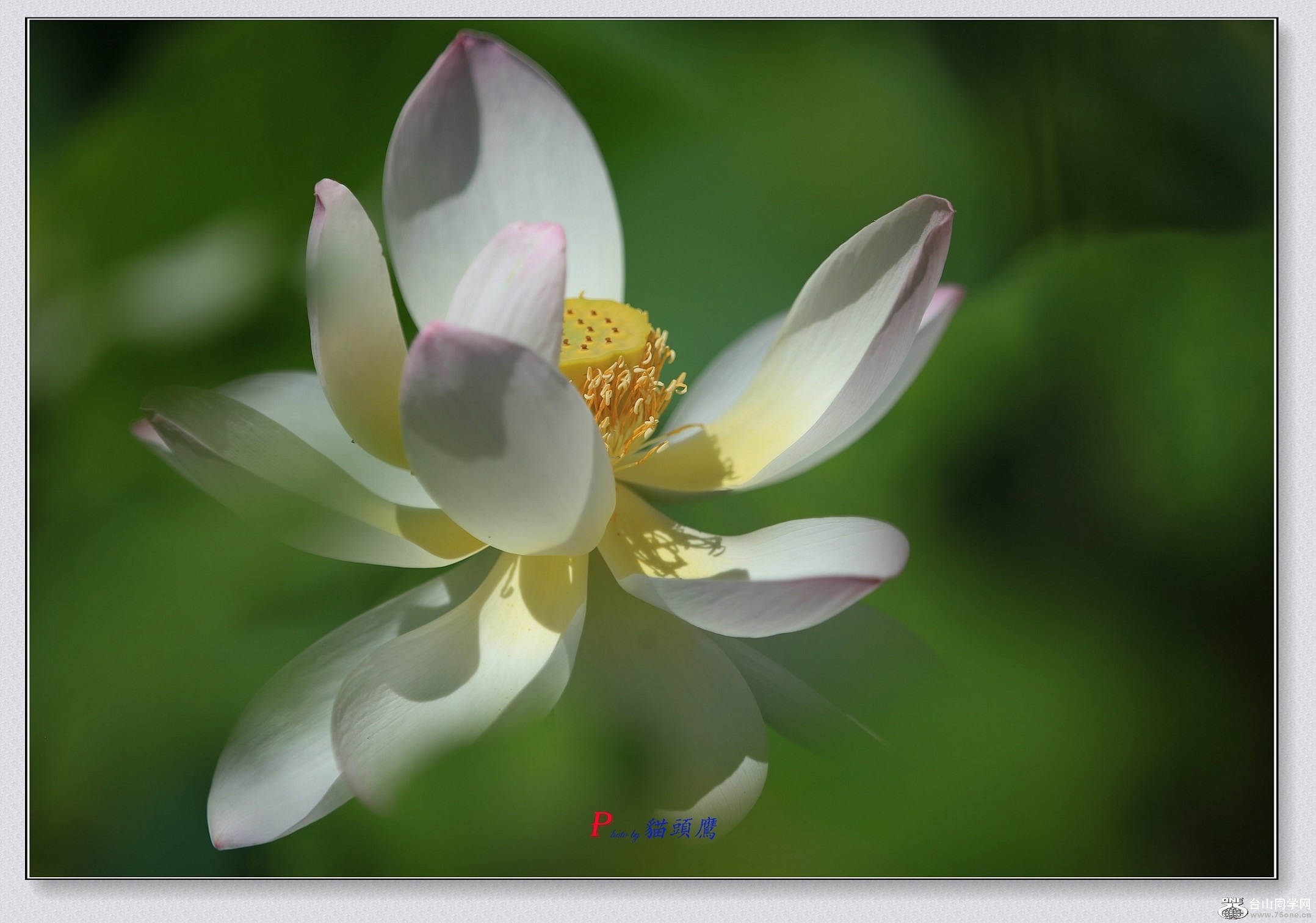 3N9A0383-2 - �}�u.jpg