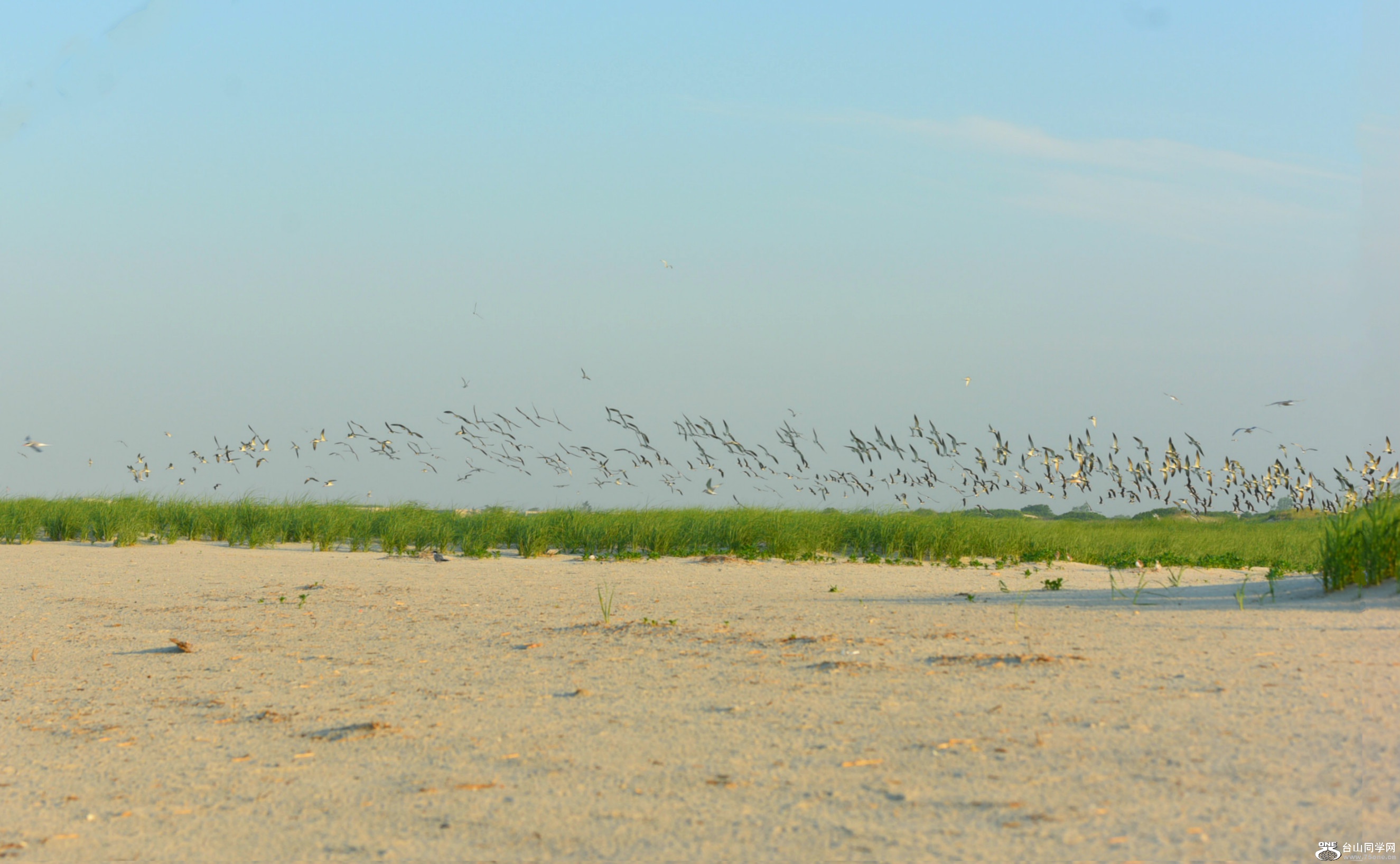 DSC_0669_meitu_1.jpg