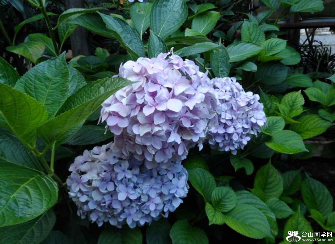 001.jpg1_conew11.jpg1.jpg1.jpg1.jpg1.jp2.jpg