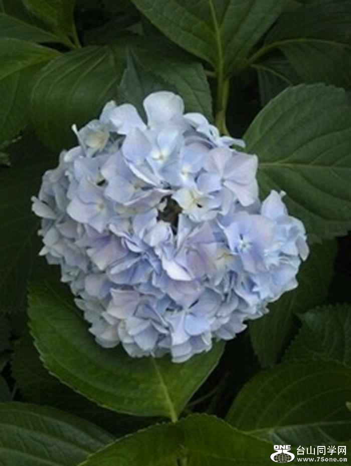 001.jpg1_conew14.jpg