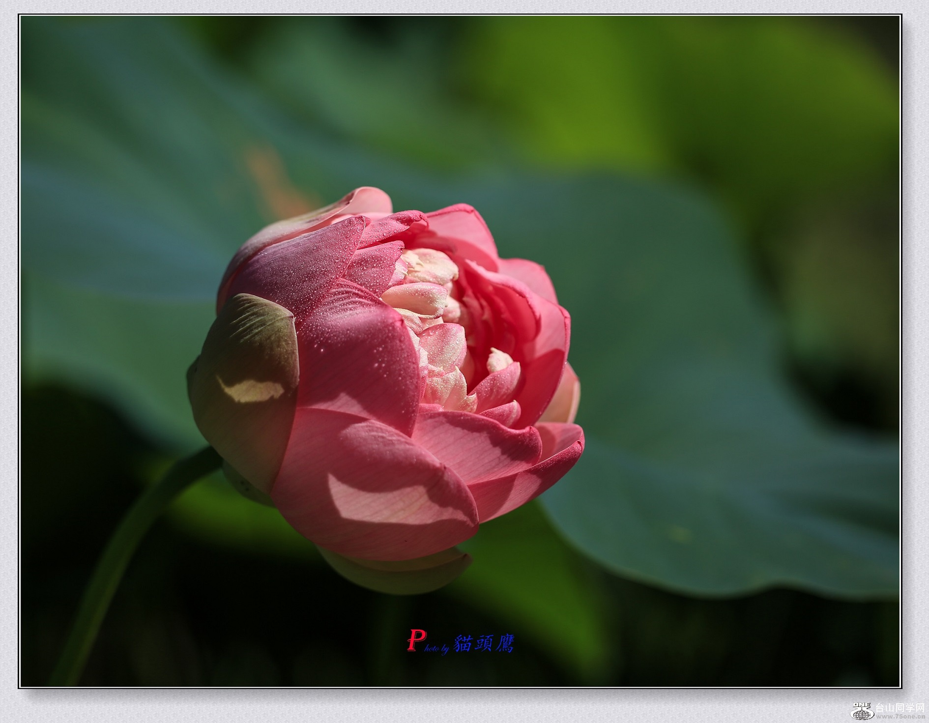 3N9A0209-2 - �}�u.jpg