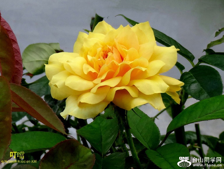 DSC01042a_1.jpg