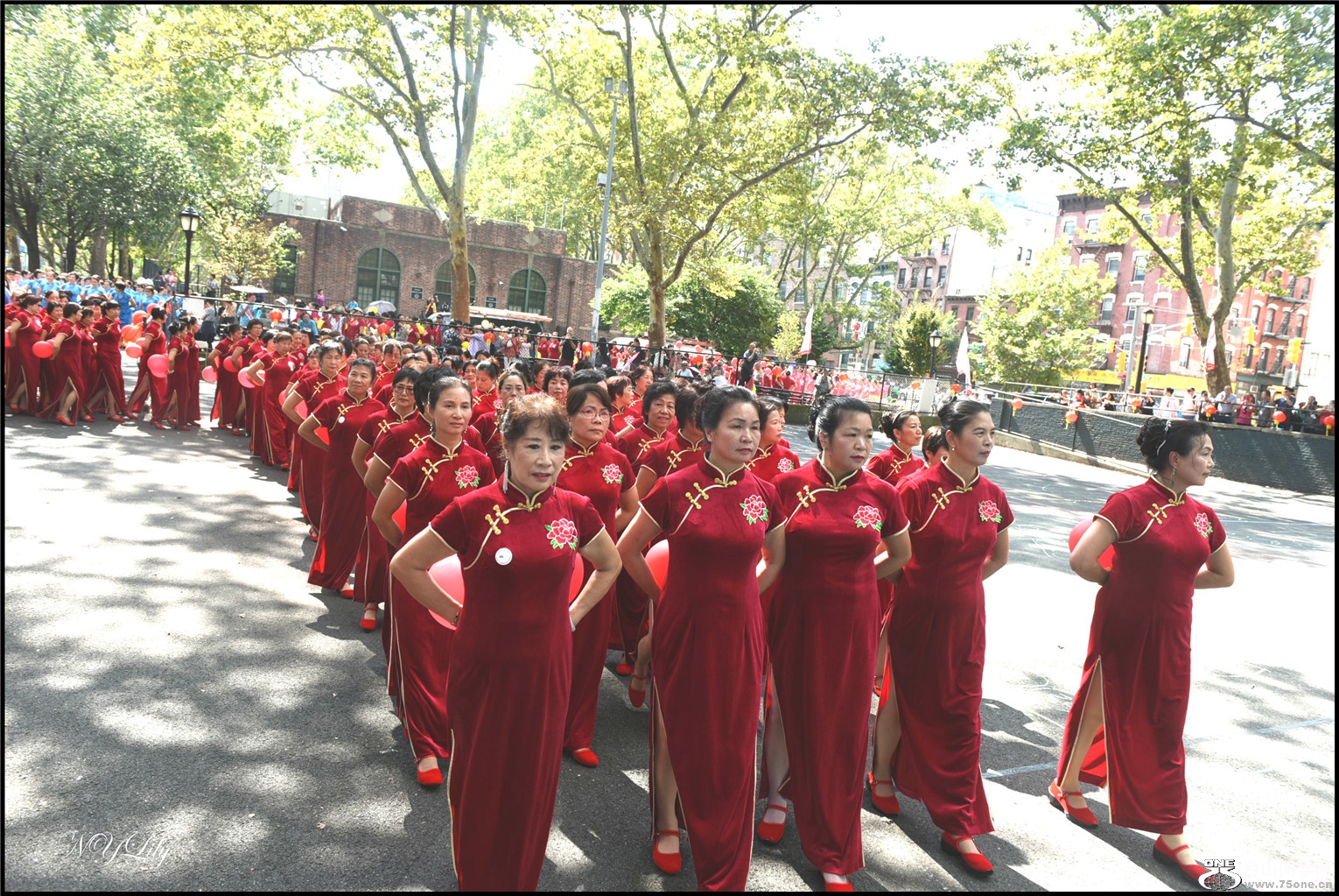 DSC_7953.jpg