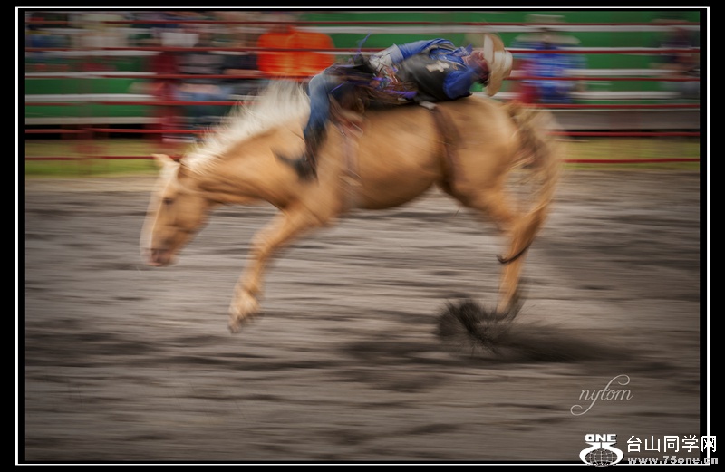 DSC_2056_.jpg