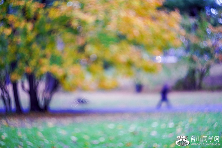 DSC08406_.jpg