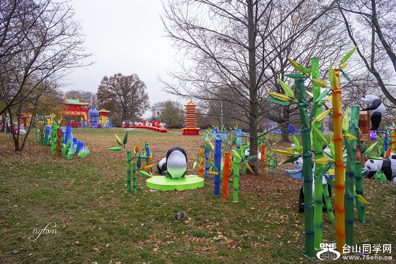 DSC08800_.jpg
