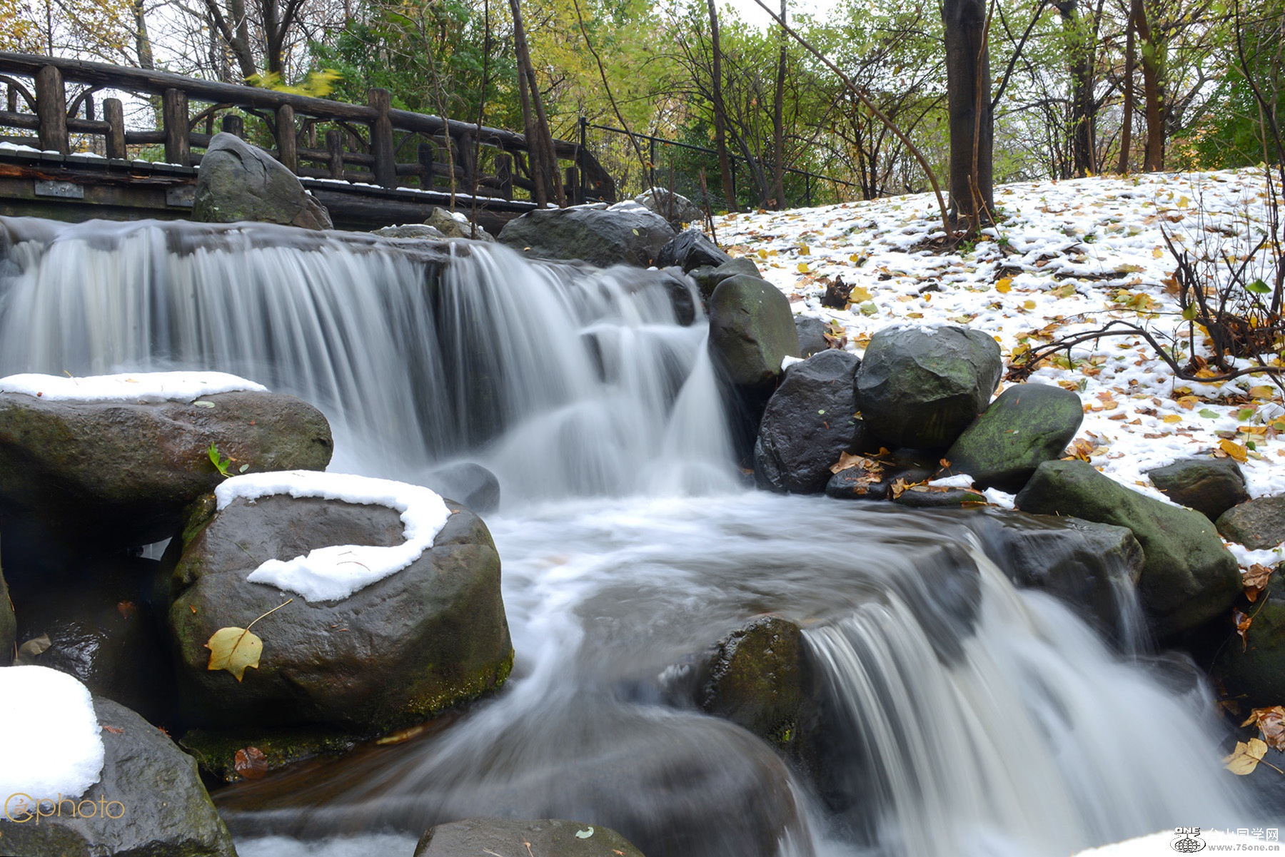 DSC_71189.jpg