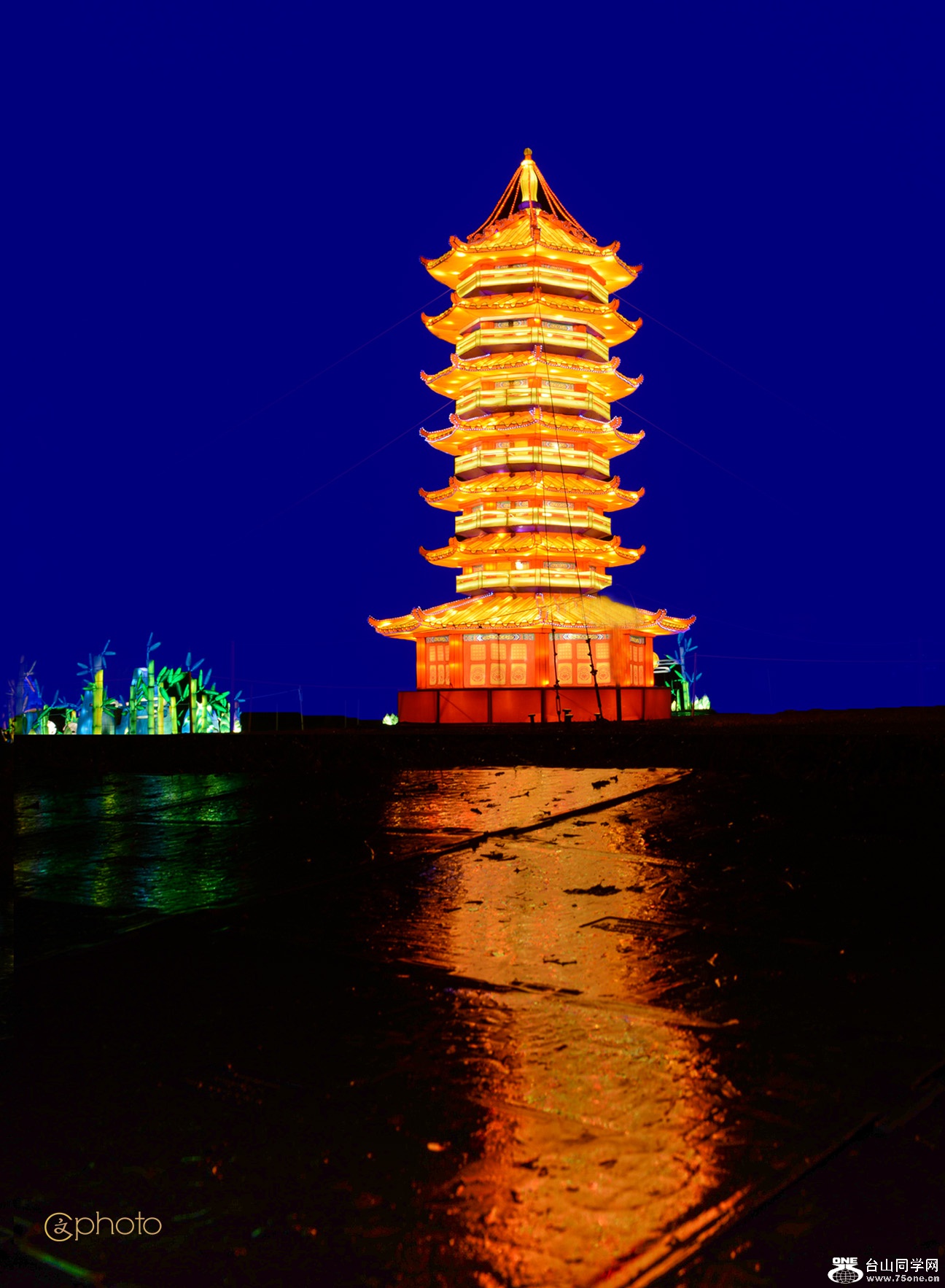 DSC_71769 1.jpg