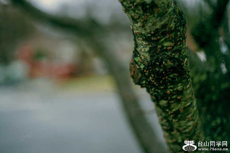 DSC00514_.jpg