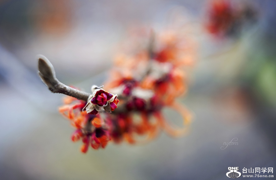 DSC01527_.jpg