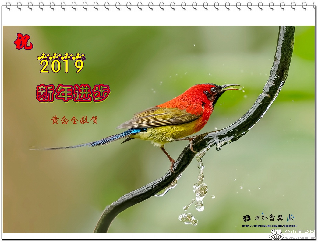 _DSC5152_DxO ����.jpg