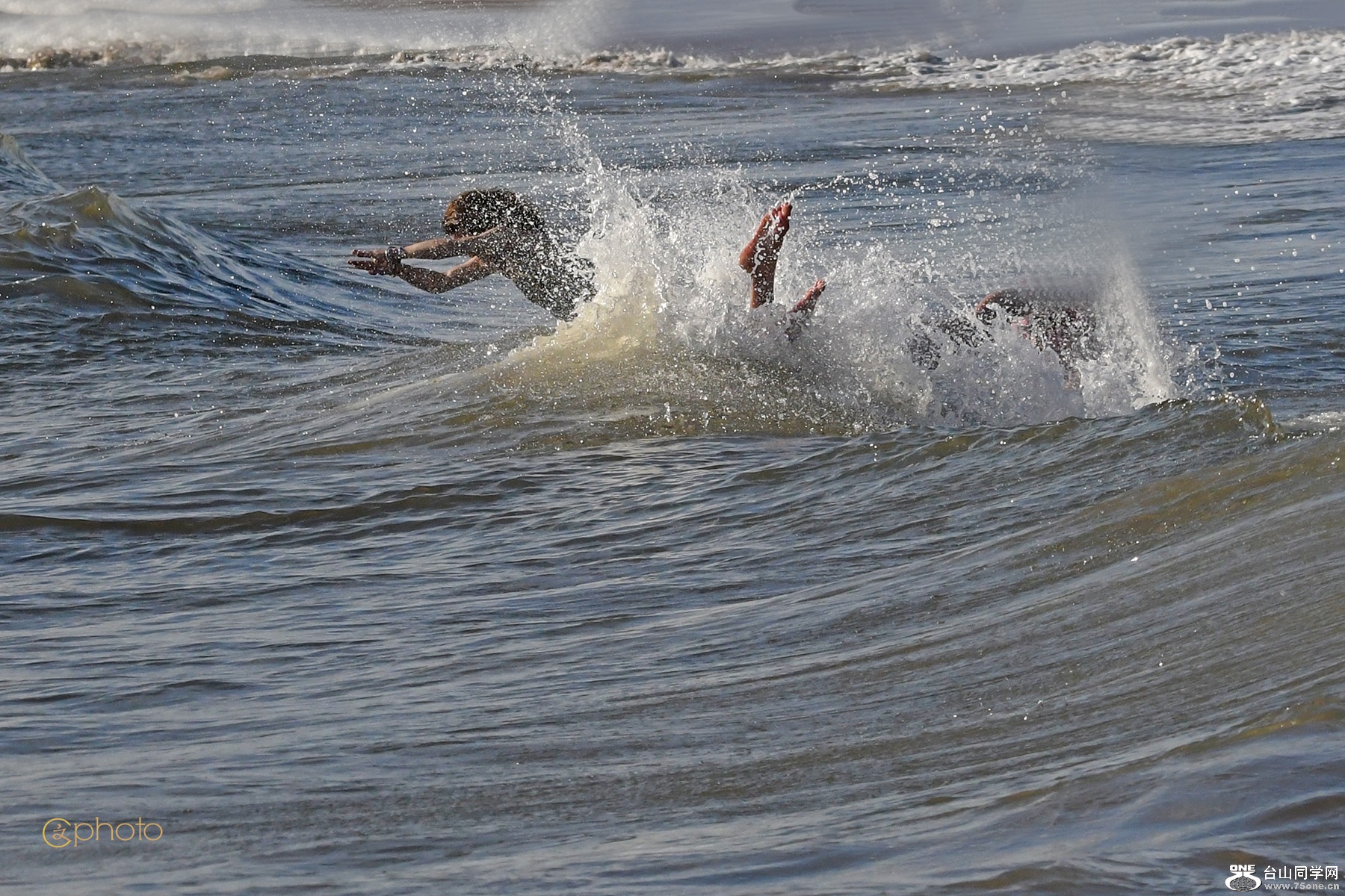 DSC_41428.jpg
