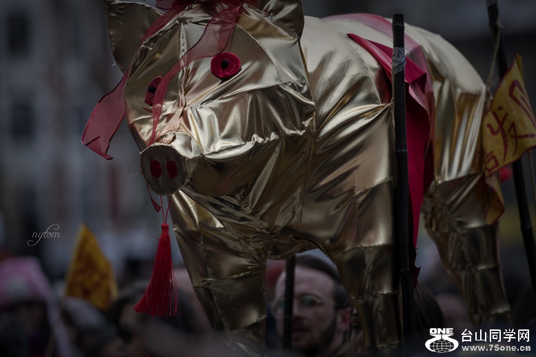 DSC_5229_.jpg