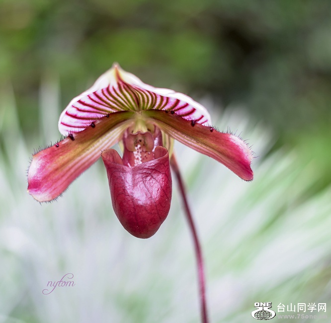 DSC02106_.jpg