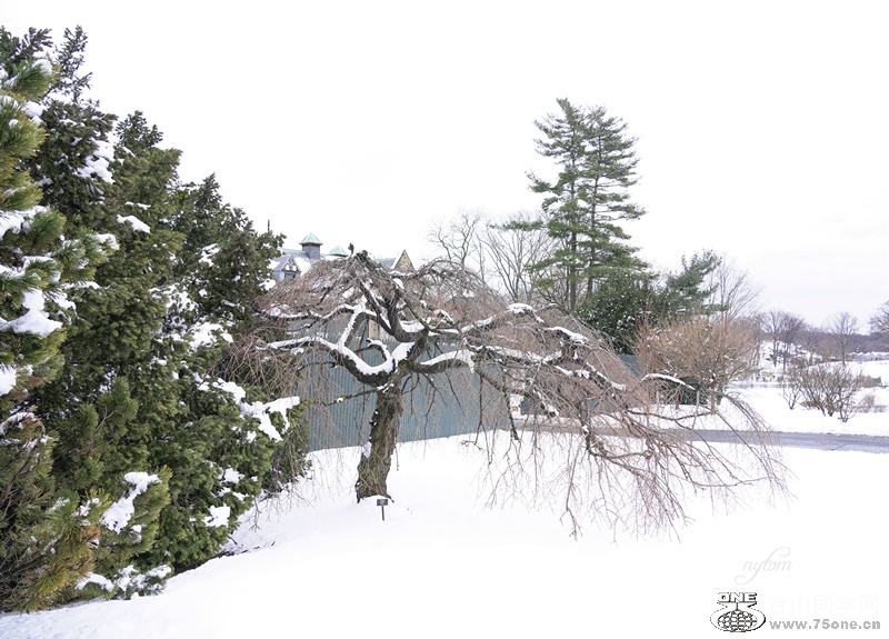 DSC01953_.jpg