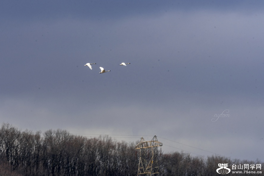 DSC_2806_.jpg