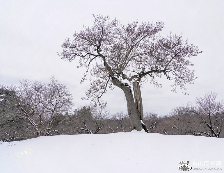 DSC01951_.jpg
