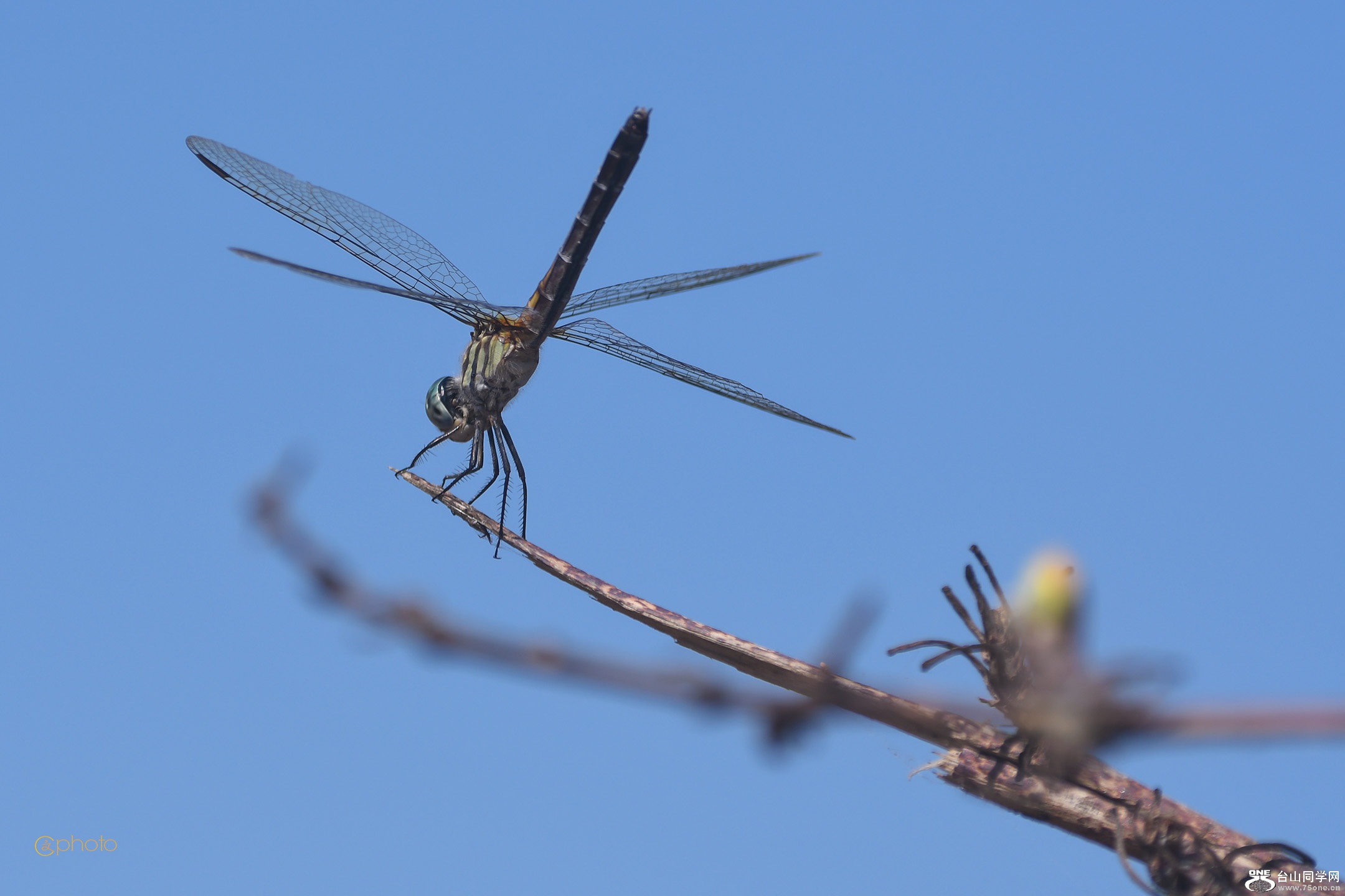 DSC_01399.jpg