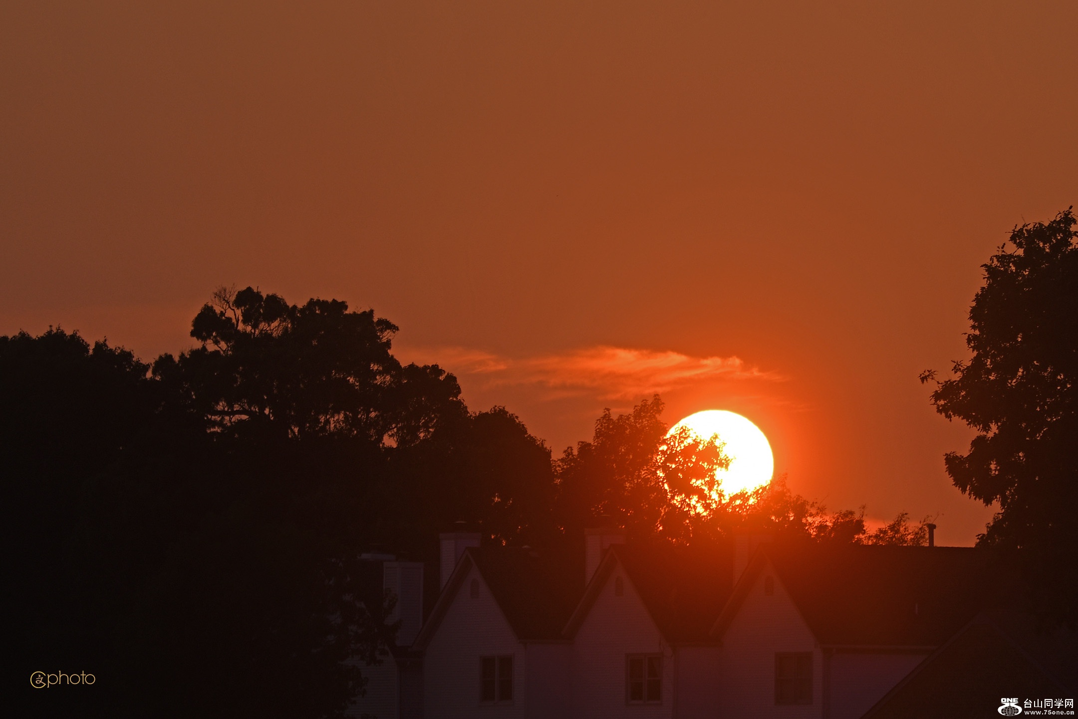 DSC_11760.jpg