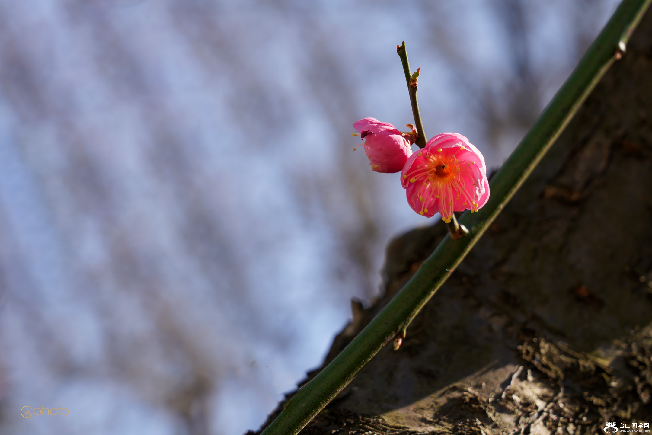 DSC010689.jpg