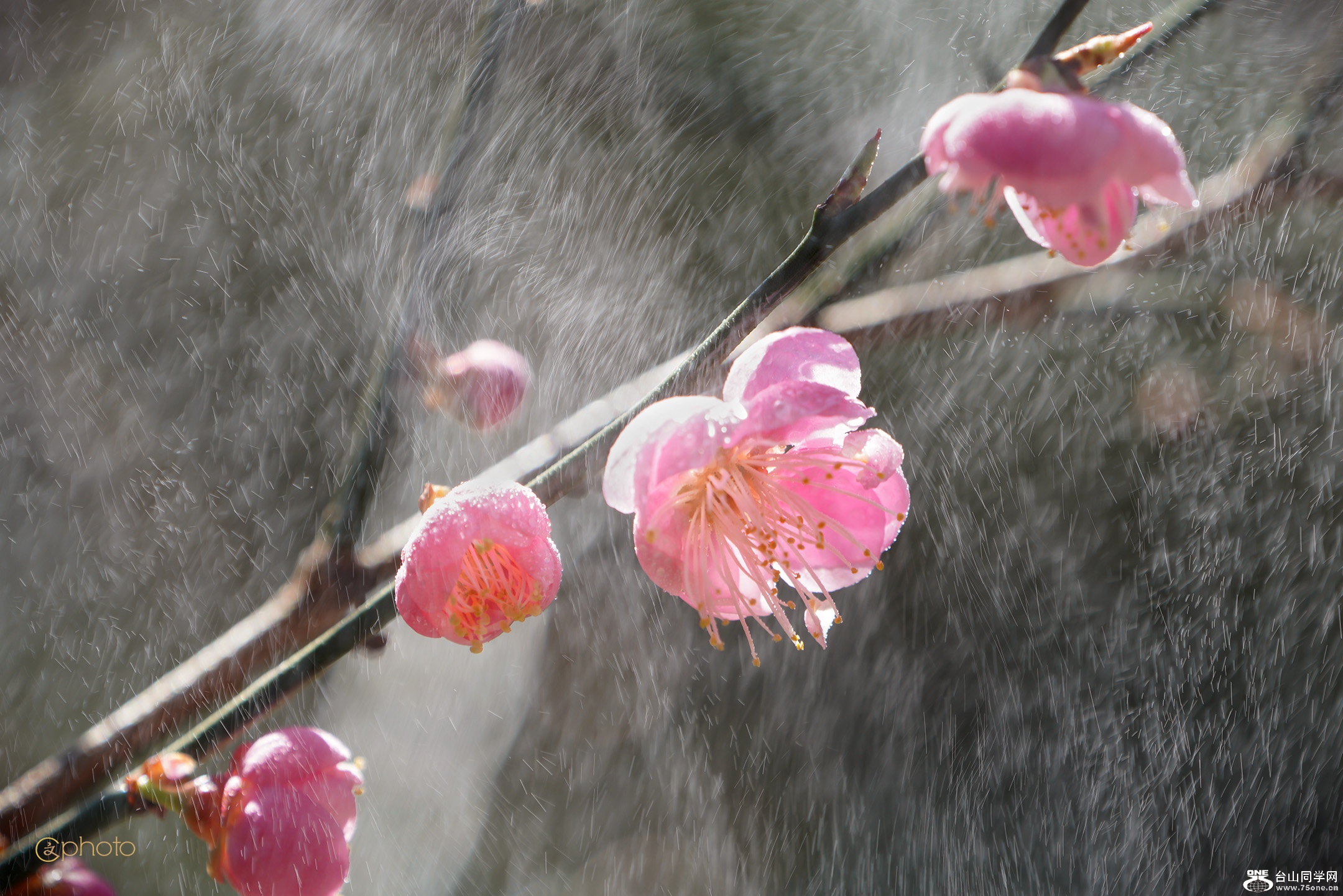 DSC010977.jpg