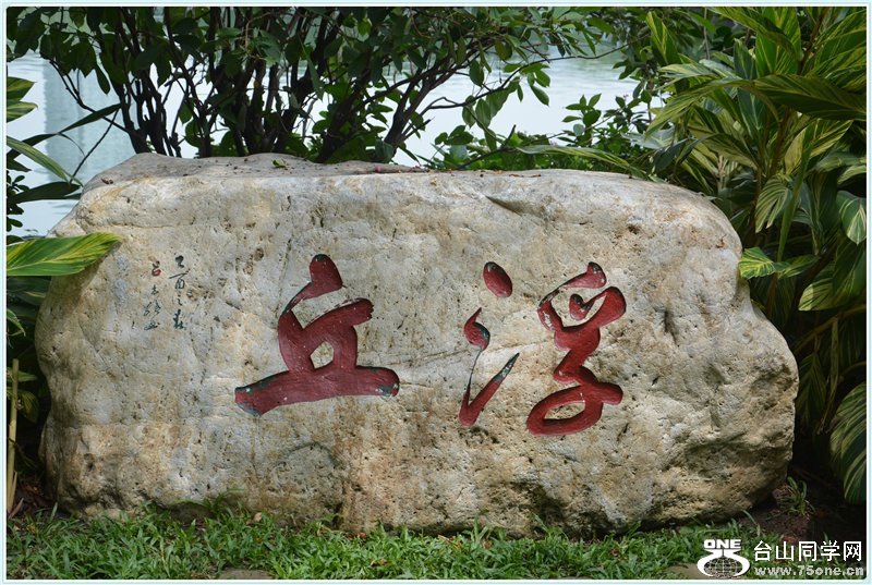 39.DSC_2363.jpg