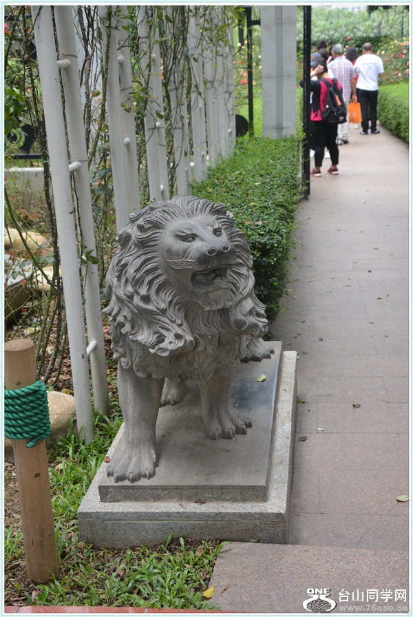 21.DSC_2333.jpg
